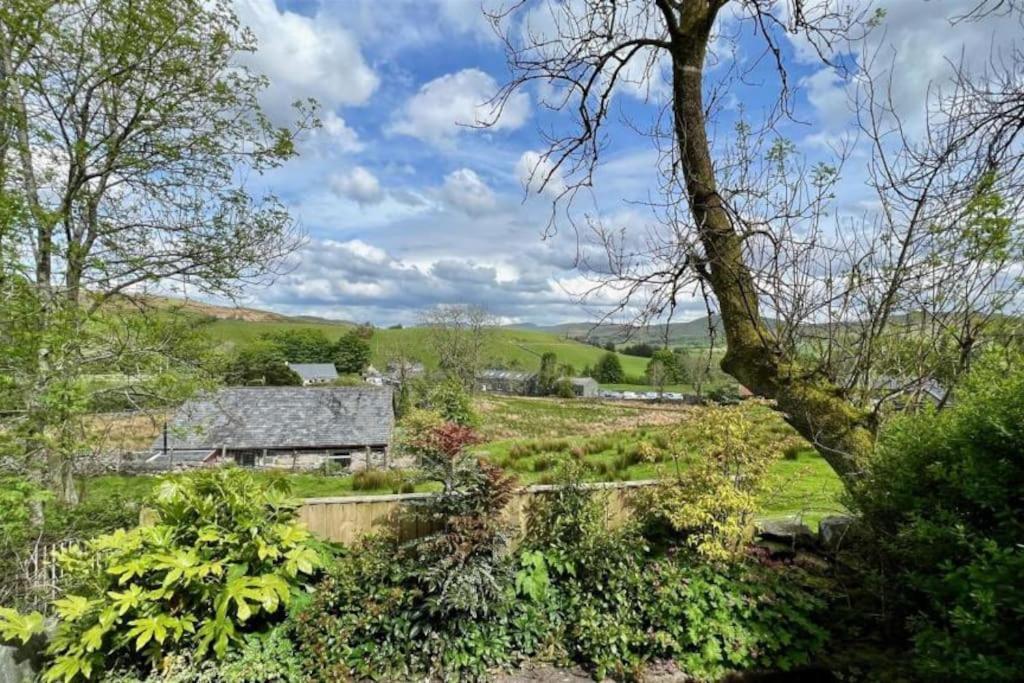 Trawsfynydd Stone Cottage المظهر الخارجي الصورة