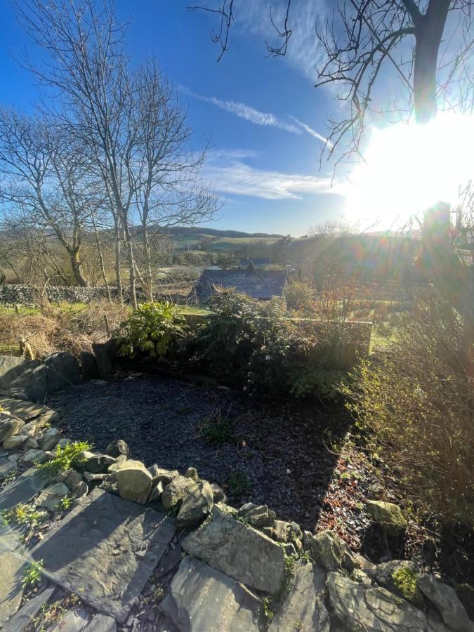 Trawsfynydd Stone Cottage المظهر الخارجي الصورة