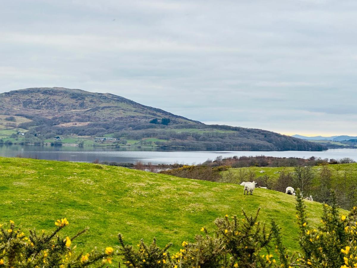 Trawsfynydd Stone Cottage المظهر الخارجي الصورة
